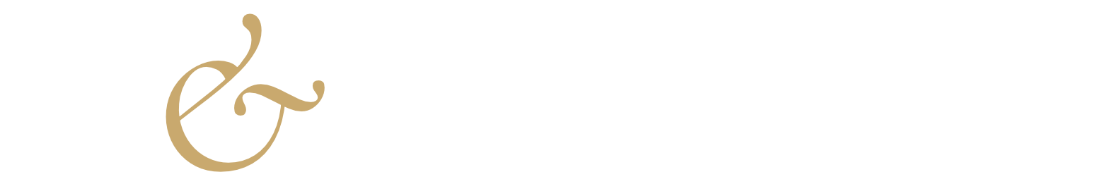 C&F Studio